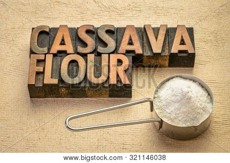 Cassava (yuca) flour in a measuring scoop with a text in vintage wood type. scoop. It is a gluten free and grain free replacement for wheat flour.