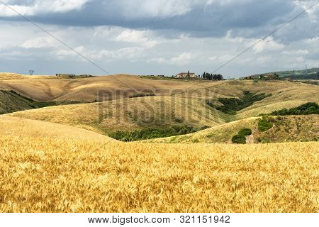 Summer Landscape Along The Road From Gambassi Terme To Volterra, Tuscany, Italy