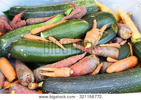 Vegetables Crop - Zucchini,carrot,beatroot On Cart Close Up Photo