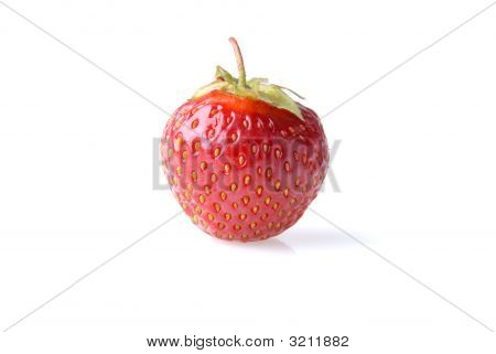 Erdbeere