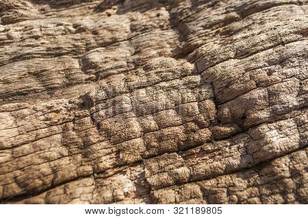 The Surface Of Old Atural Wooden Background.