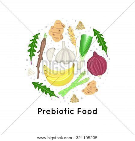 Prebiotic Food. Nutrition. Nondigestible Fibers. Gastrointestinal Health. Healthy Diet Supplement. C