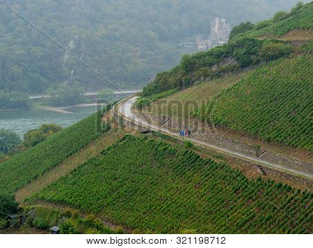 small village at the river rhine in germany