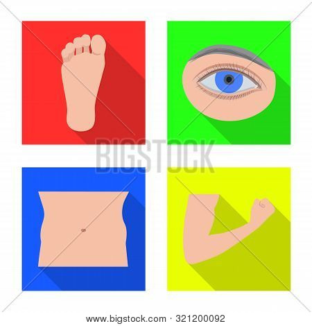 Isolated Object Of Human And Part Icon. Collection Of Human And Woman Stock Vector Illustration.