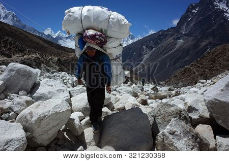 Sagarmatha national park, Nepal - May 20, 2019: Porter is carrying extremely big load hiking in riverbed. Everest trek, trail near Dughla (4620 m)