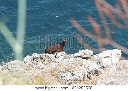Castellammare Del Golfo, San Vito Lo Capo - June 30Th 2016: The Zingaro Nature Reserve, An Italian P