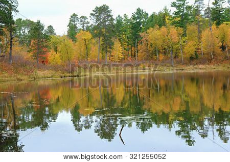 Vibrant Autumn Foliage Colors Reflected On Scenic Lake Josephine In Itasca State Park, Northern Minn