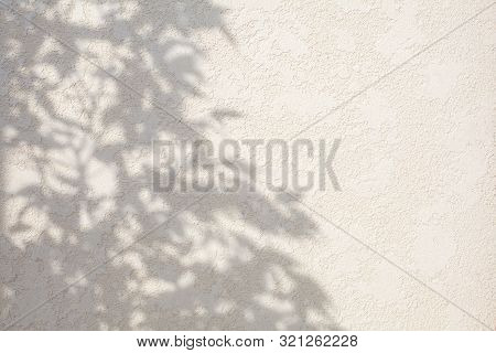 Abstract Leaves Shadow Background On White Concrete Wall Texture, Nature Shadow Art On Wall. White C