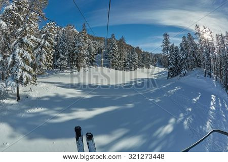 Skiing slope in the Alps with snowy trees in Les Arres, France