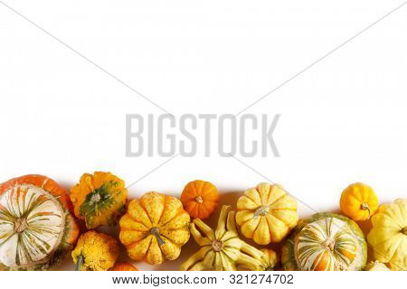 Assortiment of autumn harvested pumpkins in a heap isolated on white background , Halloween holiday concept , border frame stripe design element with copy space for text