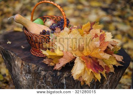 Autumn Still Life With Autumn Yellow Maple Leaves, Pumpkin, Grapes And Apples In A Wicker Basket On 