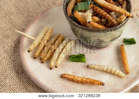 Food Insects: Bamboo Worm Or Bamboo Caterpillar Insect Fried Crispy For Eating As Food Items In Bowl