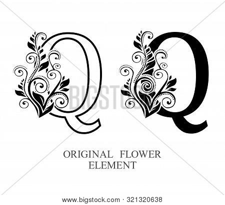 Elegant Initial Letters Q In Two Color Variations With Botanical Element. Vector Letters Logo Design