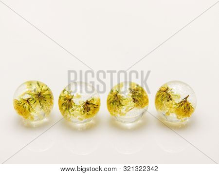 Flowers In Epoxy Resin, Preserving Fresh Flowers In Resin Means Preparing The Flowers First By Dryin