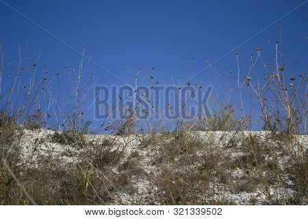 Dry Grass On The Slope Of The Chalk Quarry. Dryland Vegetation. Grass On A Background Of Blue Sky. O