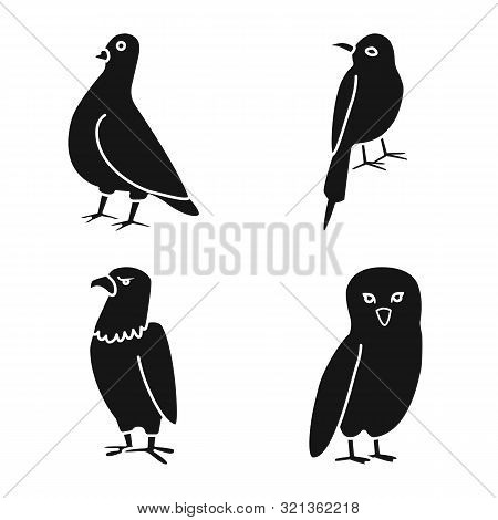 Vector Design Of Animal And Wild Sign. Set Of Animal And Plumage Stock Symbol For Web.