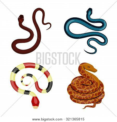 Vector Illustration Of Poison And Evil Icon. Collection Of Poison And Bite Vector Icon For Stock.