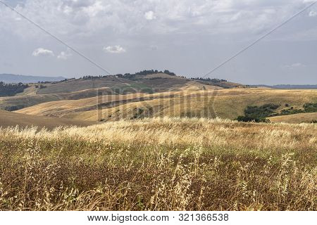 Summer Landscape Along The Road From Gambassi Terme To Volterra, Tuscany, Italy