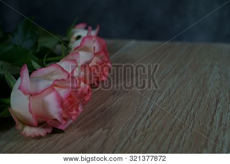 Dolce Vita Rose On Wood With Gray Background