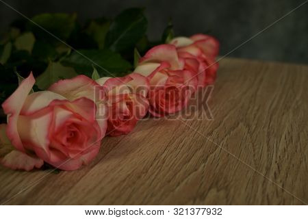 Dolce Vita Rose On Wood With Gray Background