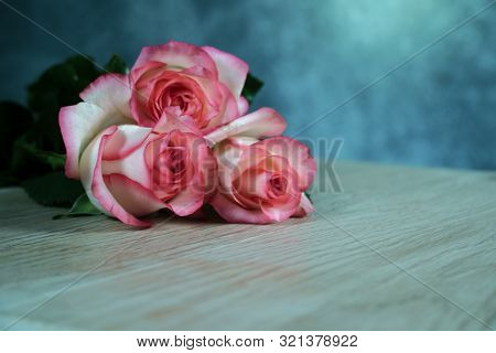 Dolce Vita Rose On Wood With Gray Background