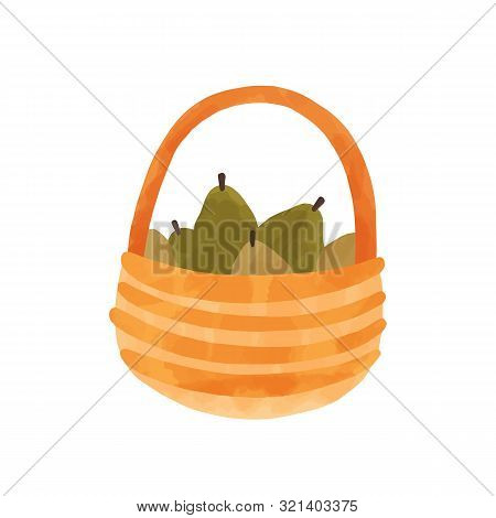 Pears In Basket Hand Drawn Vector Illustration. Wooden Pottle With Delicious Ripe Fruits Isolated On