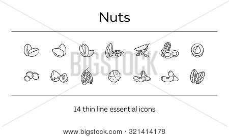 Nuts Icons. Set Of Line Icons On White Background. Cocoa Bean, Brazil Nuts, Soy Nuts. Dieting Concep