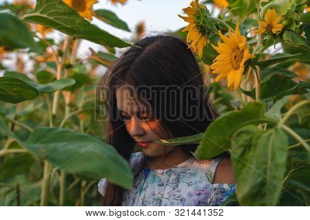 Close Up Portrait Of Beautiful Calmy Teen Girl With Brunetet Hair That Standing Among Sunflowers And