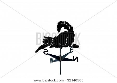 Banderuola