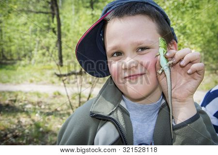 In The Summer Of Bright Sunny Day The Boy Holds A Lizard In His Hands. He Is Very Happy. Close-up.