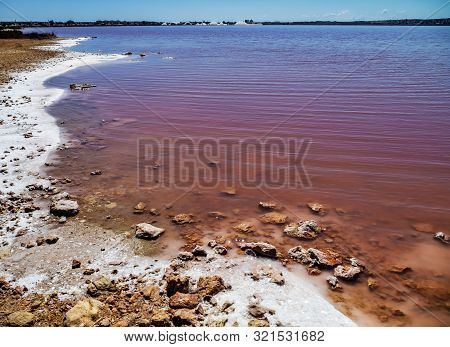 Laguna Salada In Torrevieja, Spain. Pink Salted Lake. Salinas Natural Park.