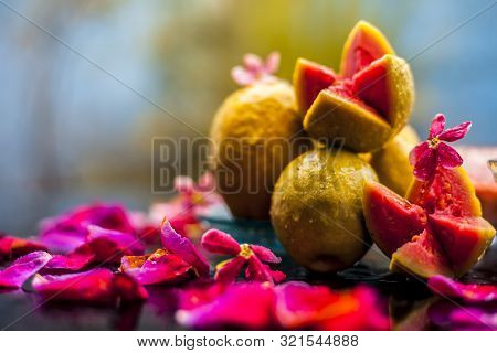 Raw Organic Guava Or Amrut Or Amarood In Hindi Language On Black Shinny Surface In A Blue-colored Pl