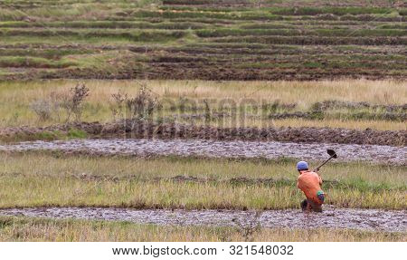 Single Man Working On A Field In Madagascar