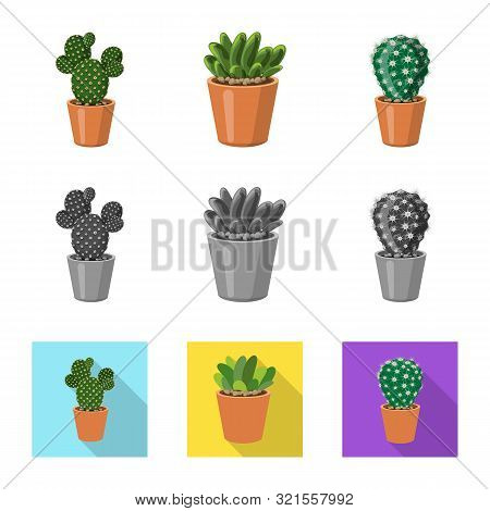 Vector Design Of Cactus And Pot Icon. Set Of Cactus And Cacti Vector Icon For Stock.