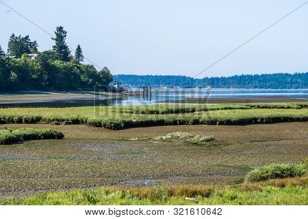 The Nisqually River Flows Past Mud Flats In The Nisqually Wetlands Near Olympia, Washington.