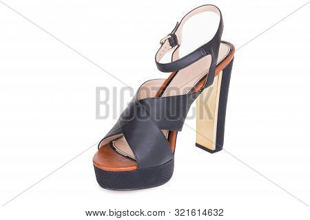 One Classical Woman Daily Laced High Heels Gladiator Ankle Sandals Shoe, Isolated.