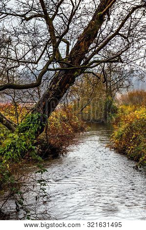Late Autumn, Autumn Landscape In Lake Barnaby Park, A Stream Under Overhanging Tree Branches With Fa