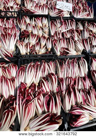 Boxes Of Red Chicory Typical Of Northern Italy Called Radicchio Tardivo For Sale At The Market