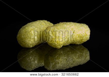 Group Of Two Whole Salted Yellow Corn Puff Isolated On Black Glass