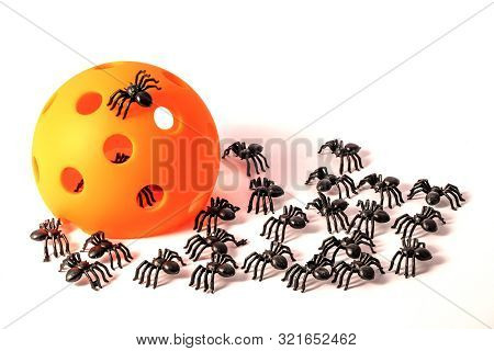 Pickleball Halloween Spiders...large Group Of Spiders With An Orange Pickleball...everybody Can Join