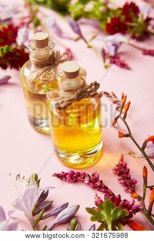 Bottles With Oil Near Wildflowers On Pink Background