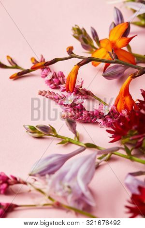 Close Up View Of Fresh Wildflowers On Pink Background