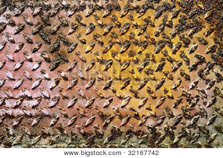 large Rust backgrounds - perfect background with space for text or image