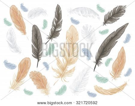 Feather Bird Isolated Doodle Set. Vector Illustration Design.
