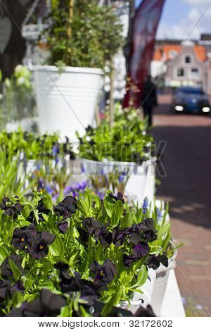Flowers In White Metal Pails In Street Flower Shop