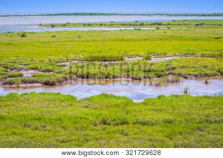 The Huge Wetlands Of Aransas Nwr, Texas