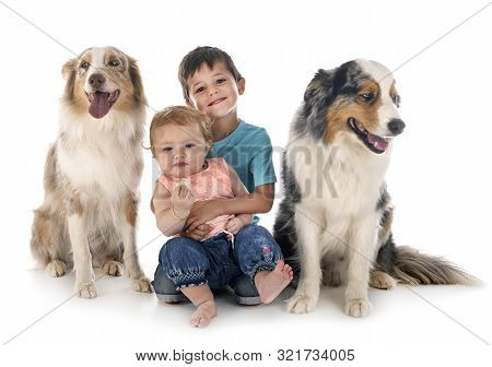 Child And Dogs In Font Of White Background