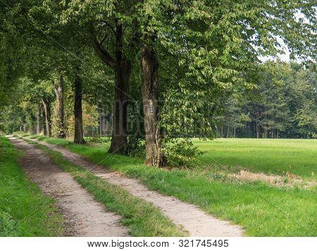 the City of Billerbeck and the baumberge