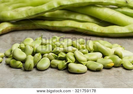 Raw Broad Beans On A Marble Table