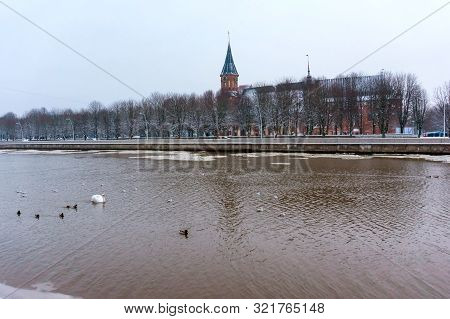 Cathedral In Kaliningrad, Winter Cathedral Of Our Lady And St. Adalbert, Brick Gothic, Grave Of Imma